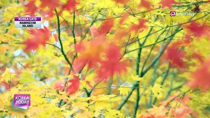 Korea Today Ep702C3 Magical Charms of Namiseom Island