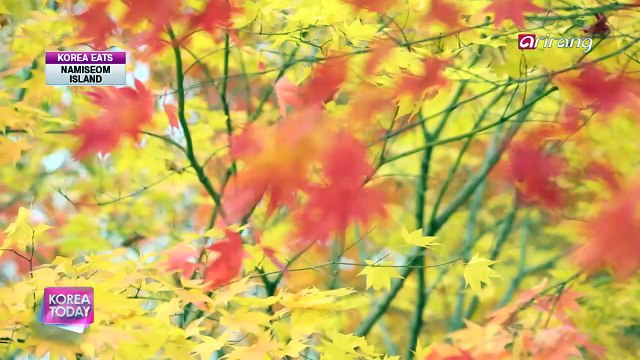 Korea Today Ep702C3 Magical Charms of Namiseom Island