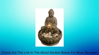 HoMedics - EnviraScape Buddha Illuminated Relaxation Fountain WFL-BUDD Review