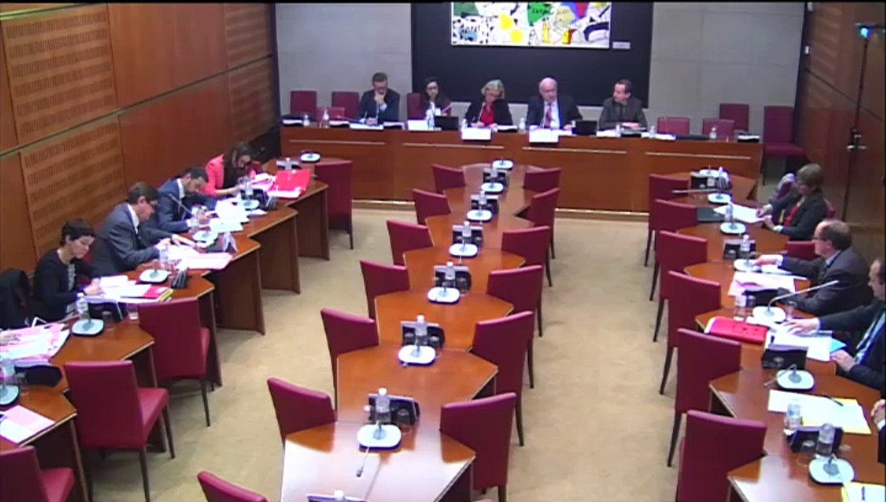 Audition de M. Patrick Kanner, ministre de la Ville, de la Jeunesse et des Sports - Jeudi 13 Novembre 2014
