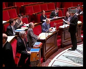 Travail, emploi et pouvoir d'achat (suite) - Jeudi 12 Juillet 2007