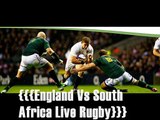 watch Big Rugby Match England vs South Africa 15 nov 2014