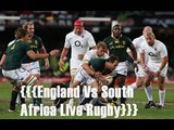 Enjoy with Video streaming England vs South Africa 15 nov