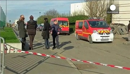 Download Video: Francia: caccia a una tigre, avvistata vicino Disneyland