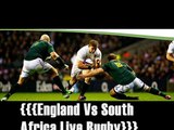 live rugby England vs South Africa nov 15