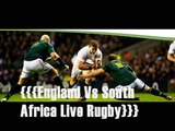 Enjoy with Video streaming England vs South Africa 15 nov live