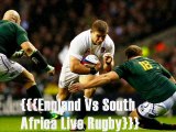 2014 Don’t miss watch Big Rugby Match England vs South Africa