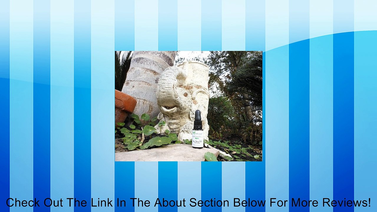 Tea Tree Oil With Dropper 15 ml 100% Pure, Natural Organic Australian Melaleuca Essential Oil, Undiluted, Antibacterial, Hair Cleanser, Blemish & Acne Reducer, Wound Healing - Mix in Your Own Dandruff Shampoo, Soap, Face Wash, Body Wash, Cream, Lotion, To