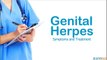 Genital Herpes - Get Rid Of Herpes Now, Treatment and Symptoms