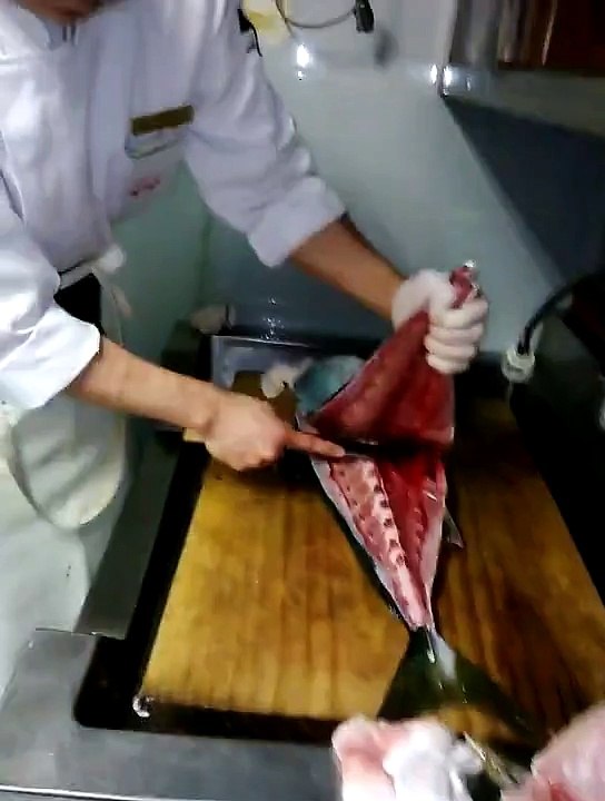 Ce poisson ne veut pas mourir
