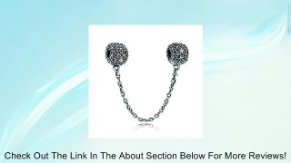 Pandora Safety Chain Bouquet w/14K & Clip 790864-05 Review