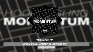 (Mega MP3) Hook N Sling - Momentum (Original mix)