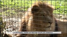 Emission de télévision Midi en France de Laurent Boyer