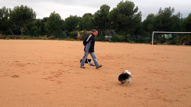 Dressage Canin la Ciotat 13, Education du chiot Talia 4 mois