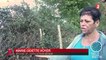 Un agriculteur vendéen meurt piqué par des frelons asiatiques