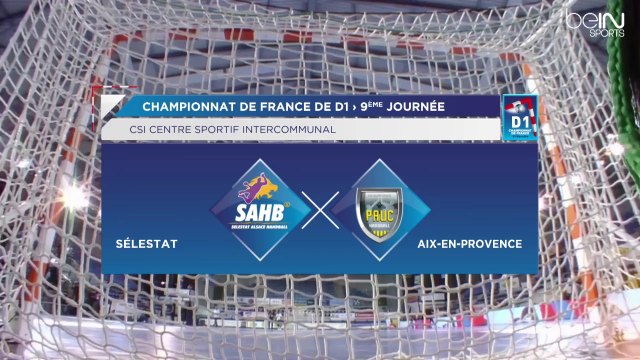 LNH D1 2014-2015 J09 SELESTAT AIX