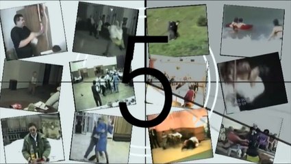 Funny Animals Funny Dog plays TAKEDOWN