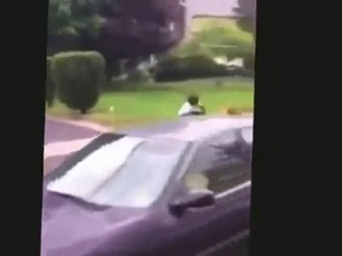 When Crazy Animals Attack Gruesome dog attack caught on camera as witnesses try to pull them off ~