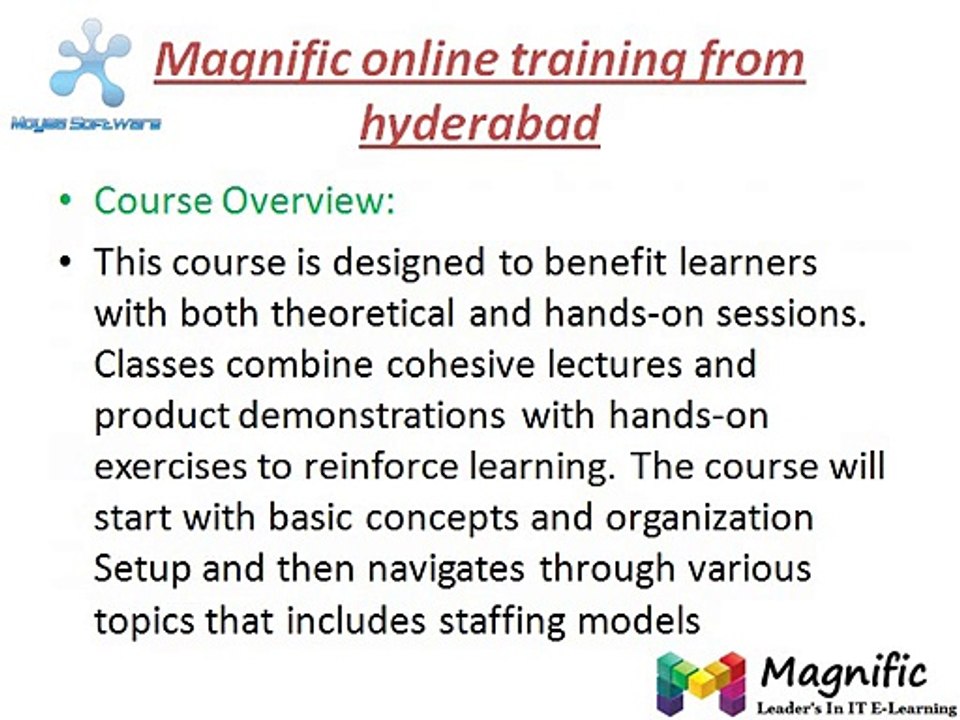 Workday online training-magnific