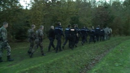 chasse au tigre en seine et marne