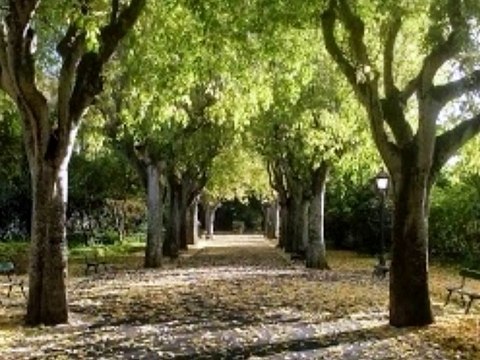 Debout les gars - Hugues Aufray