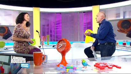 Clip-it et digibirds