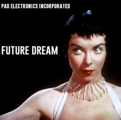 PAD ELECTRONICS INCORPORATED - FUTURE DREAM