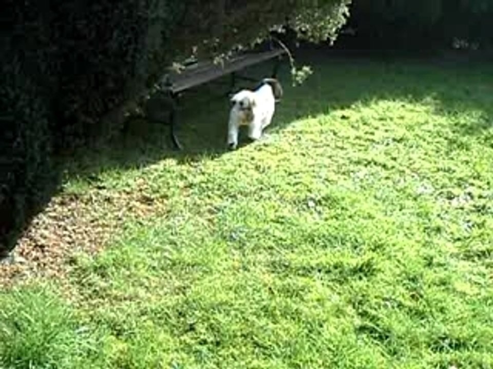 un petit tour