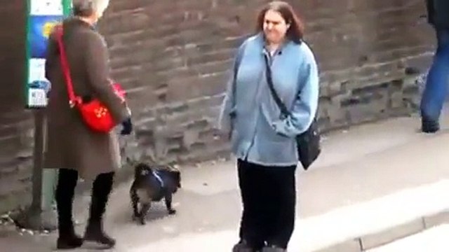 Lady Dances Like Nobody's Watching At A Bus Stop Video