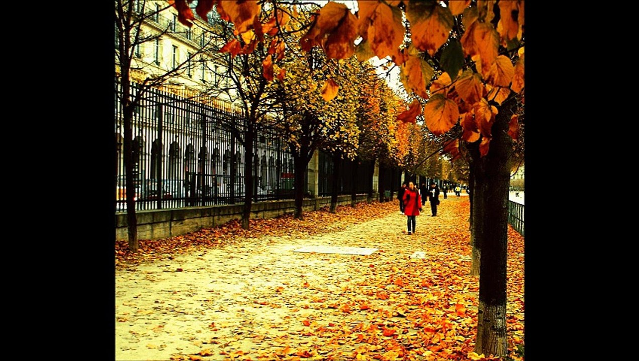 Je suis né dans la rue