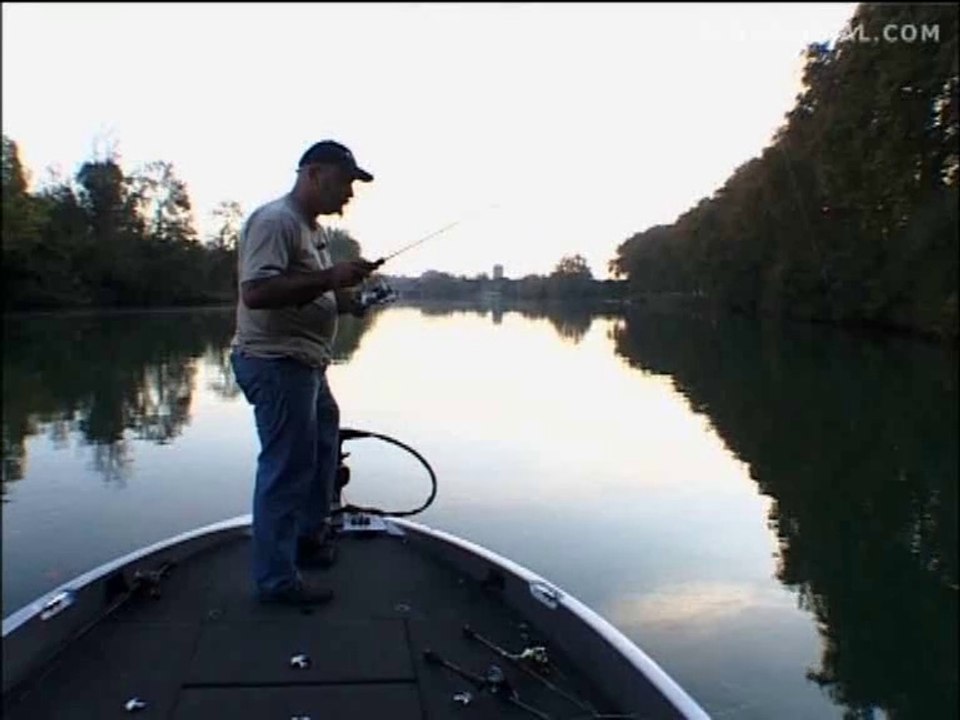 PÊCHE : Carnassiers sur l'Hérault.