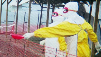An insider’s look in the Ebola epidemics