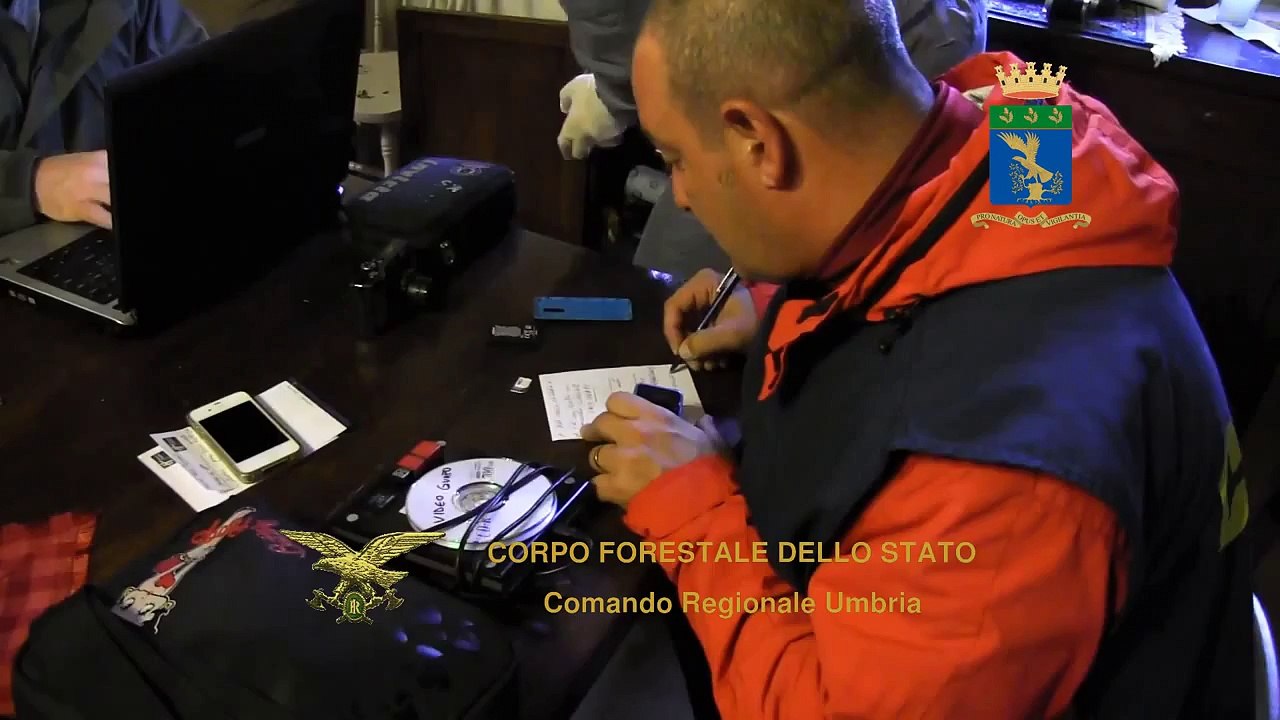 Pesaro - Combattimenti clandestini tra cani e cinghiali, 7 denunce (14.11.14)