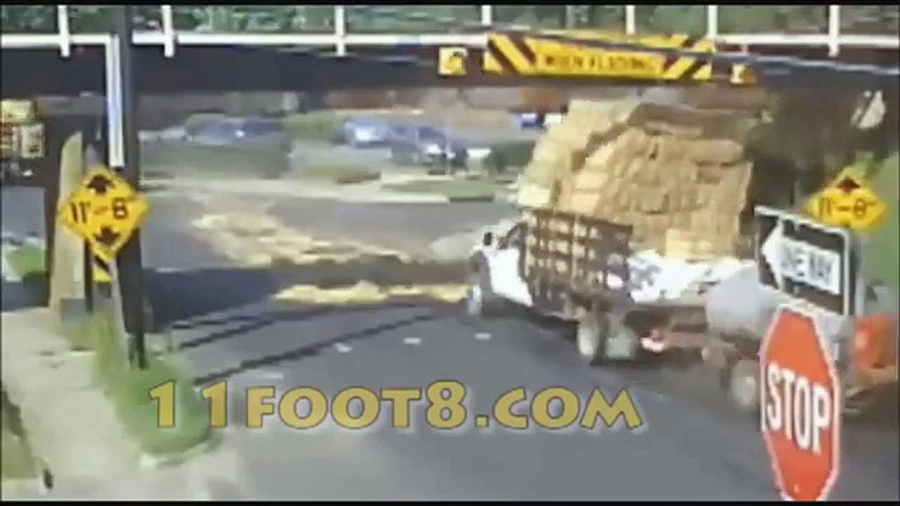 Bridge Crash Compilation