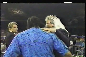 WCW Pro 1991-06-29