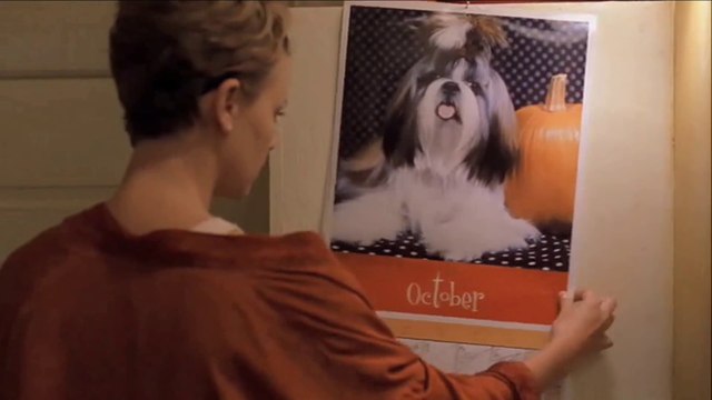 grup SOKAK - Günahkar Mevsim