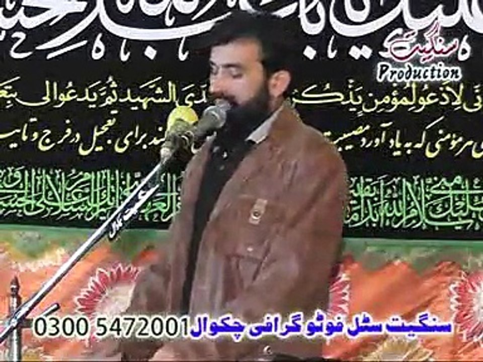 ALI RAZA 19 safar2013
