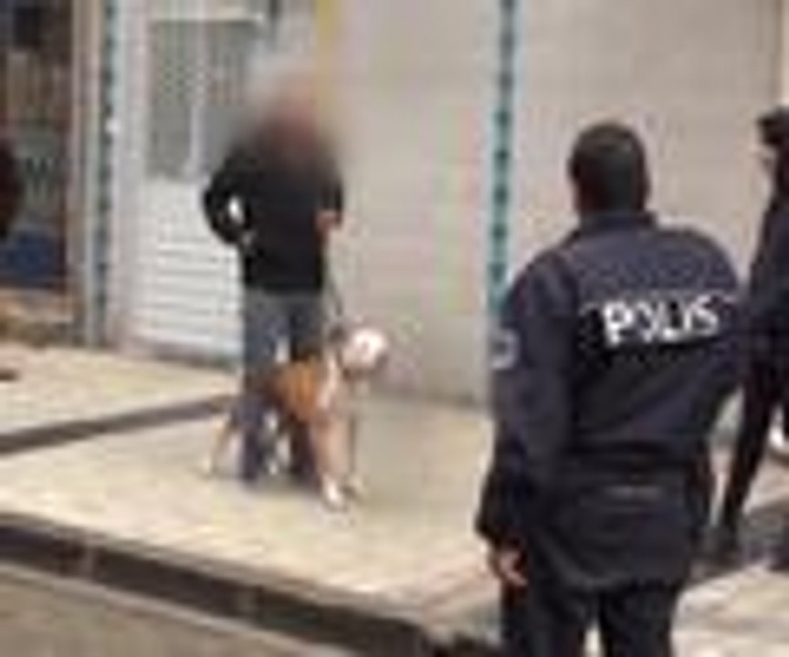 Çanakkale'de pitbull saldırısı