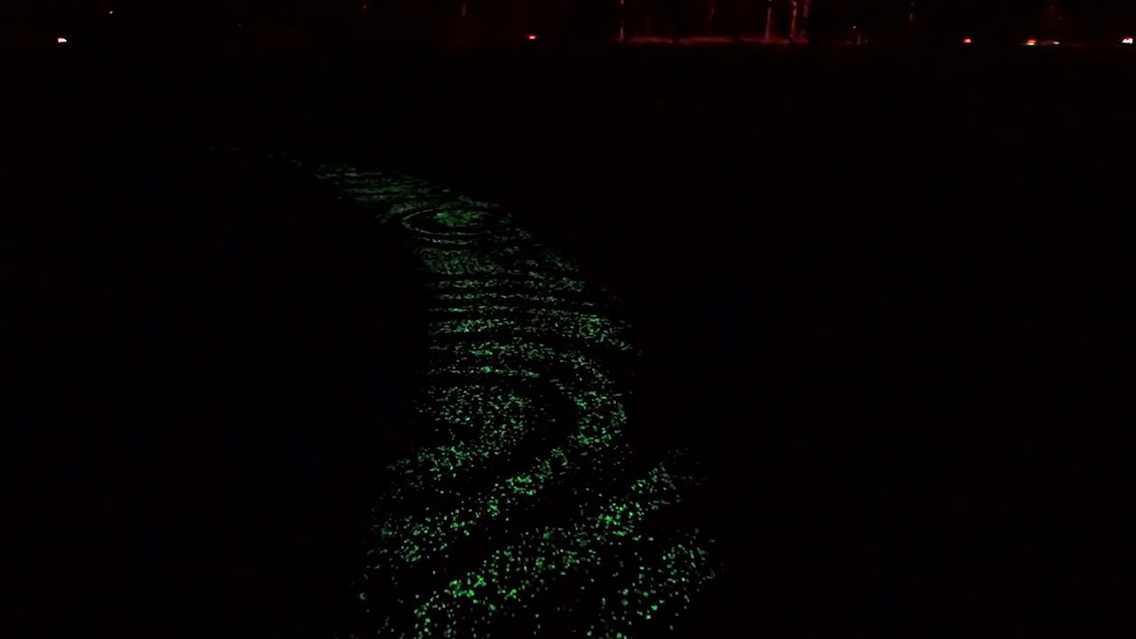 Inauguration de la première piste cyclable phosphorescente