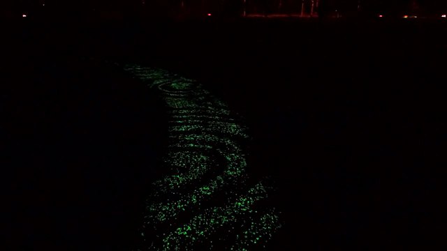 Inauguration de la première piste cyclable phosphorescente