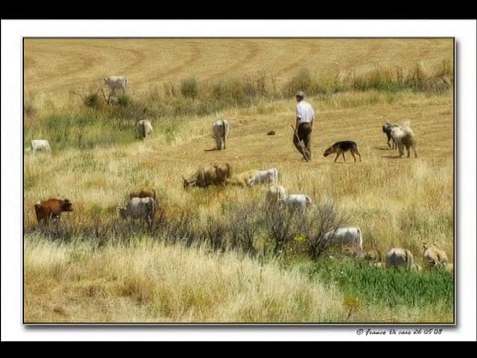 E' semplicemente di un altro mondo.. Stupendo.