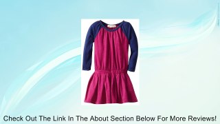 Appaman Baby Girls Infant Varsity Dress, Sugar Plum, 12-18 Months Review