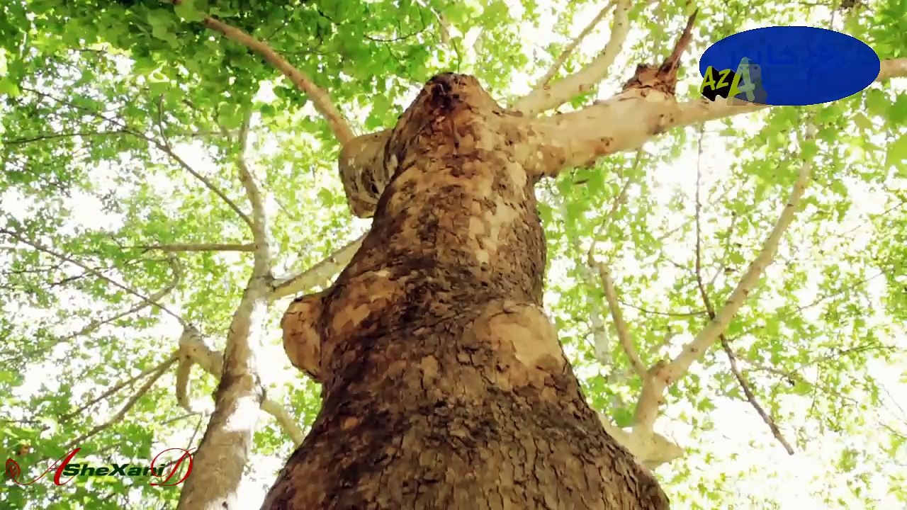 Bilind Ibrahim..Xerabo