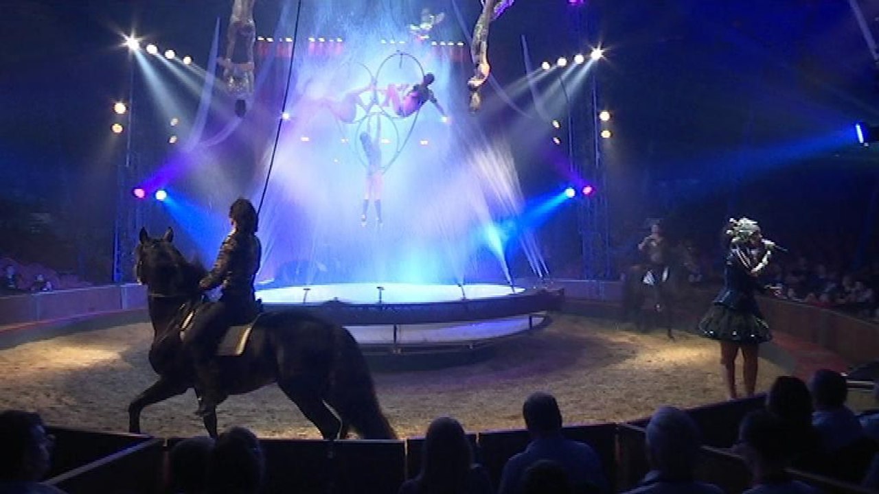 "Pégase et Icare", nouveau spectacle équestre du cirque Alexis Gruss