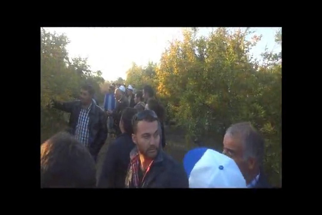 suya duyarlı kağıtlar üzerinde zerreciklerin buluşması ve çiftçilerin izlenimi