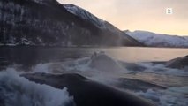 6 big whales appeared in front of a boat in Norway!