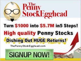 The Penny Stock Egghead Review