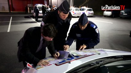 Félin en liberté en Seine-et-Marne : au cœur de la traque