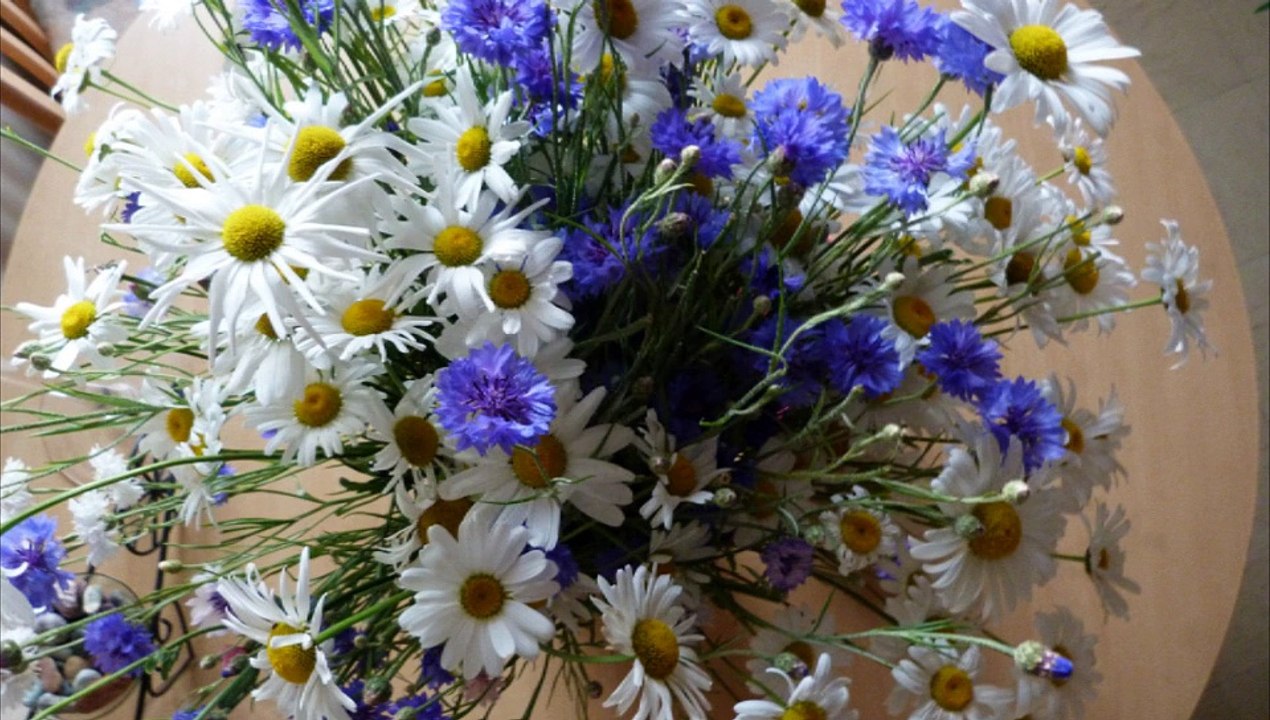 L'automne et le passé