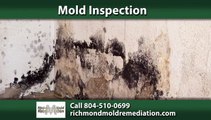 Mold Removal Chesterfield, VA | Richmond Mold Remediation